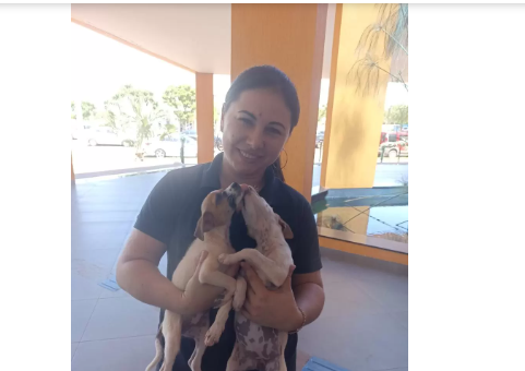 Imagem de compartilhamento para o artigo Canil Municipal de Chapadão do Sul resgatou e ressocializou 178 animais em 2023 da MS Todo dia